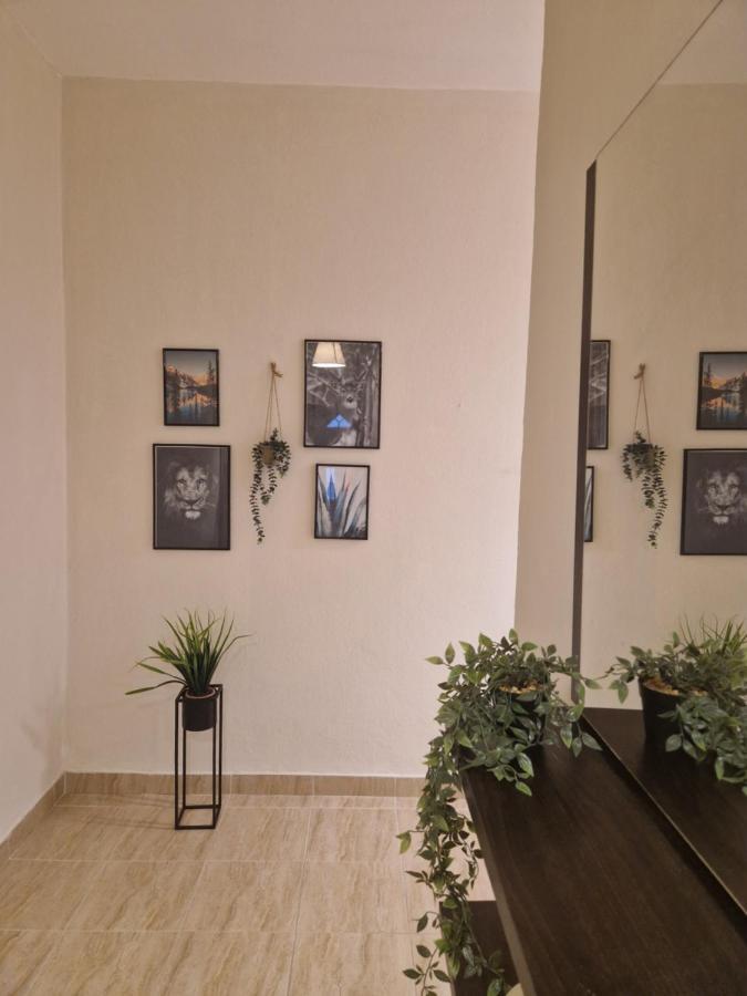 Valeria'S Apartment Kavála Ngoại thất bức ảnh